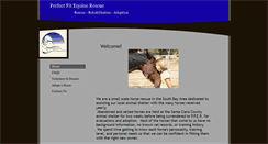 Desktop Screenshot of perfectfitequinerescue.org